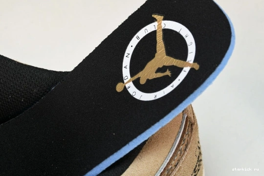 Elephant  Low DZ4130-201 1 SE Brown Jordan DZ4130-201 0715